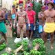 99- Concours de course de porteurs de fruits categorie homme 
